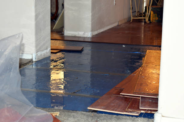 Professional Sewage Cleanup technician working in New Washington, IN